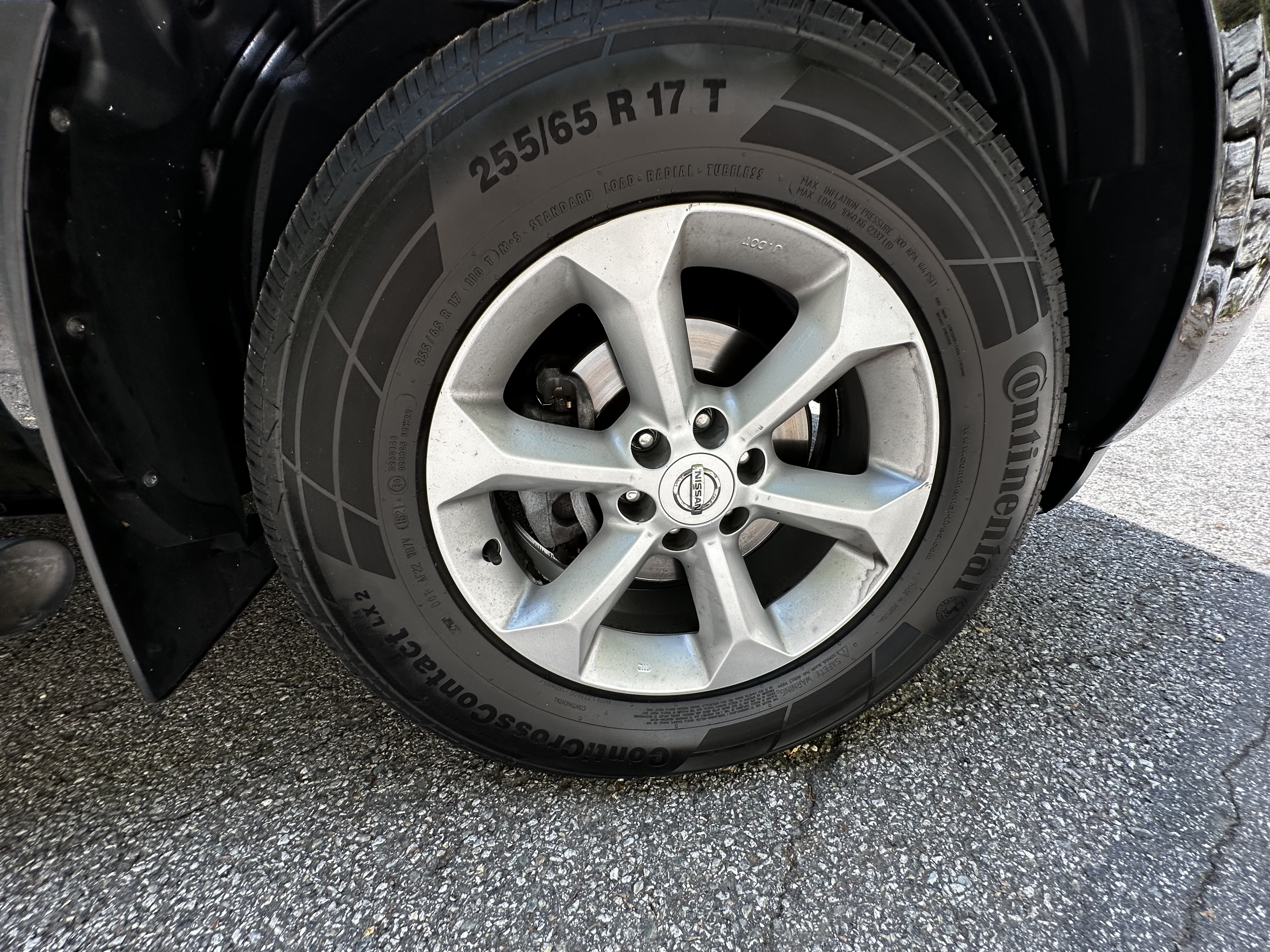 Gallerie nissan navara